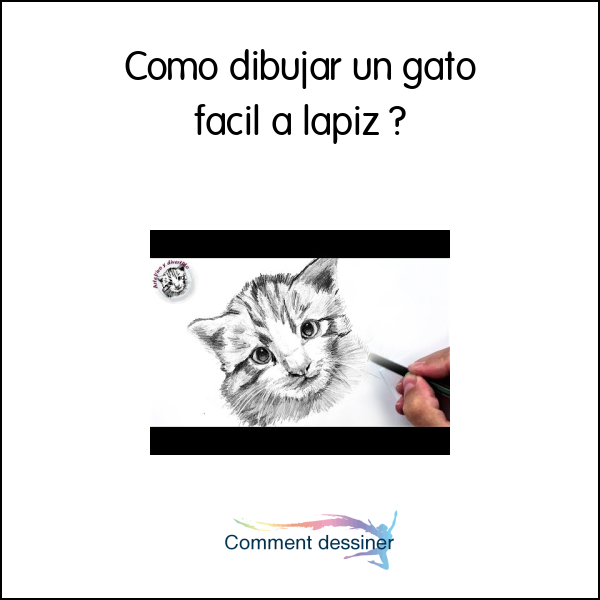 Como dibujar un gato facil a lapiz